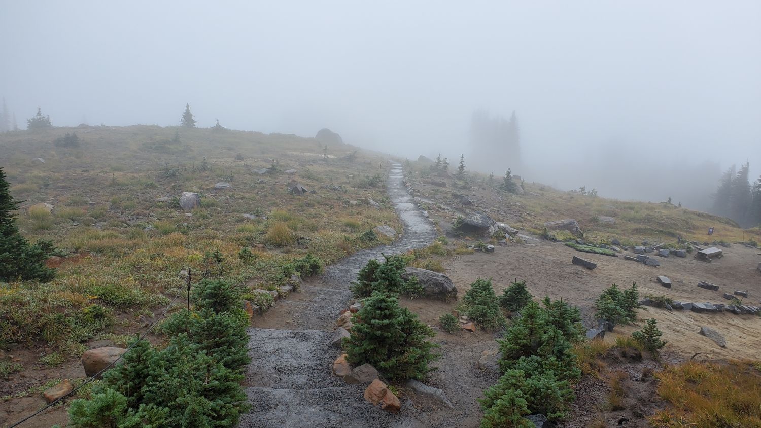 Mount Rainier NP 